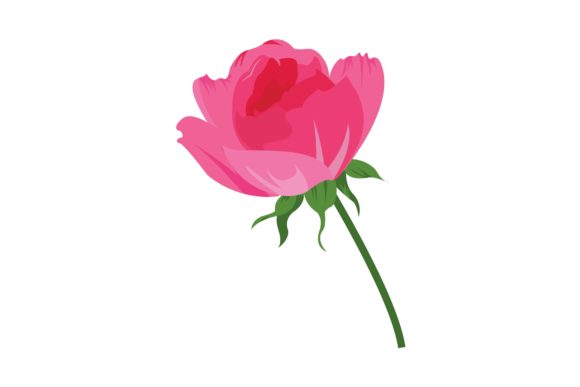 Pink Floral Digital Illustration: A Versatile Tool for Creative Projects